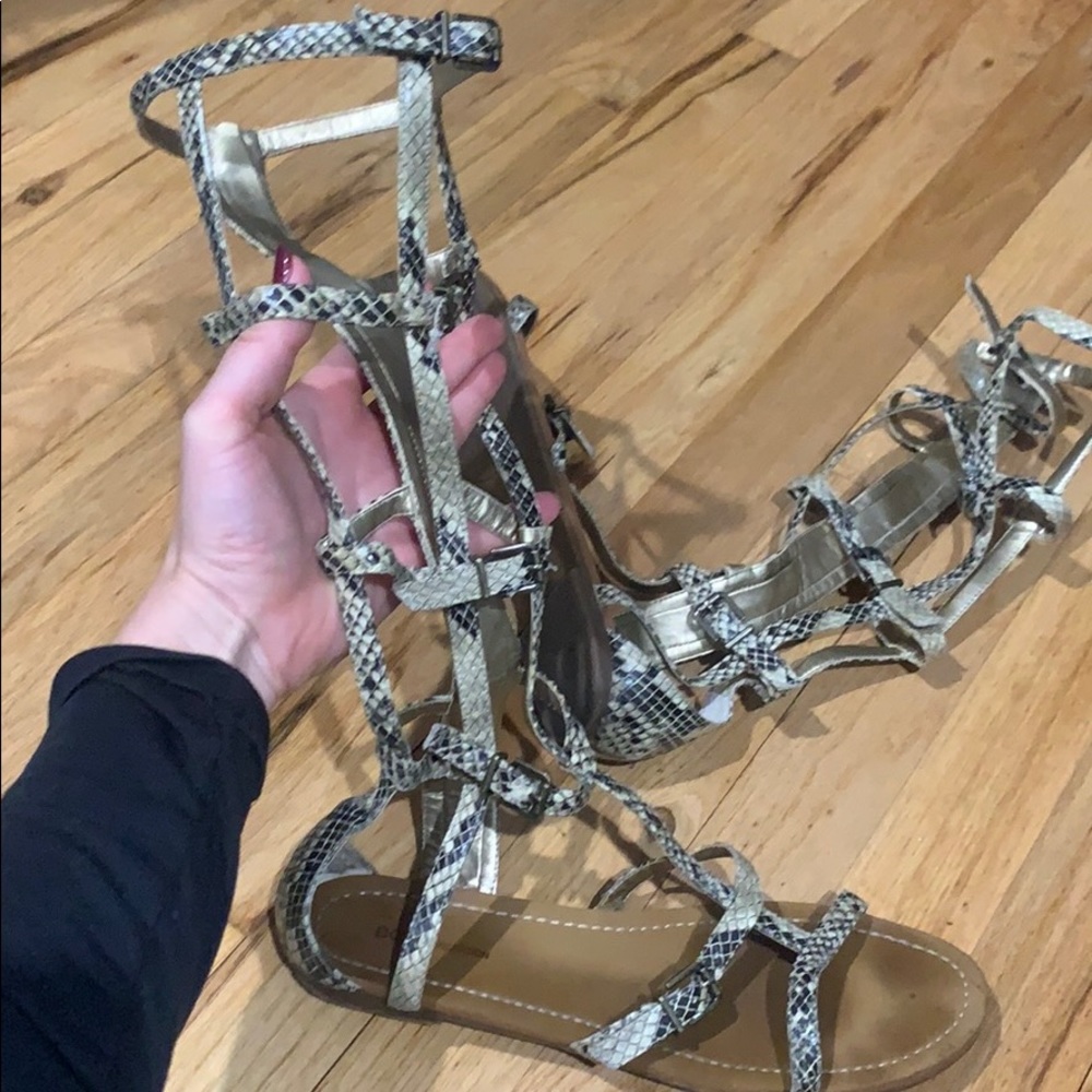 Bcbg Gladiators - image 3